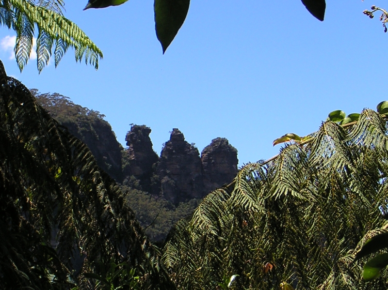 The Three Sisters rock formation, from the rainforest walk beneath ScenicWorld, Katoomba
